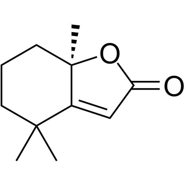 Dihydroactinidiolide 17092-92-1
